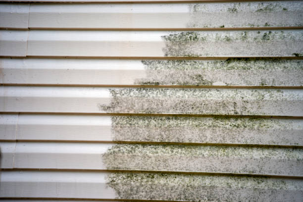 Best Construction Debris Removal  in Wentzville, MO