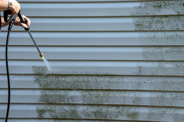 Best Hoarding Cleanup  in Wentzville, MO