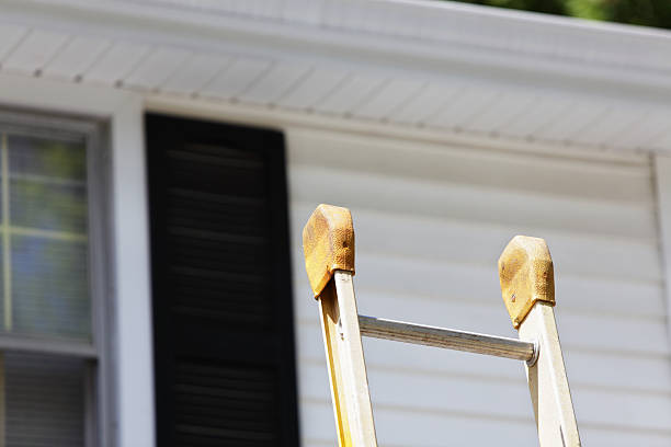 Best Shed Removal  in Wentzville, MO